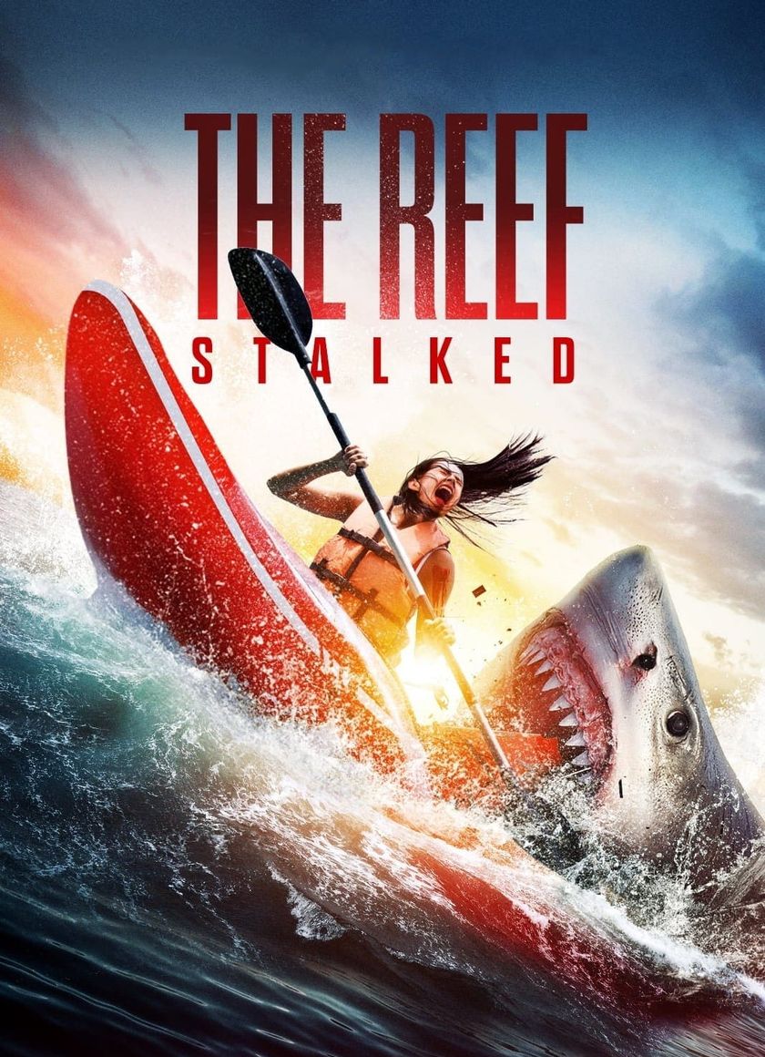 Đá Ngầm: Kẻ Theo Dõi