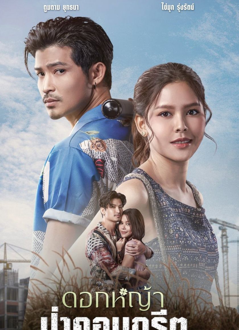 A Wildflower in the City