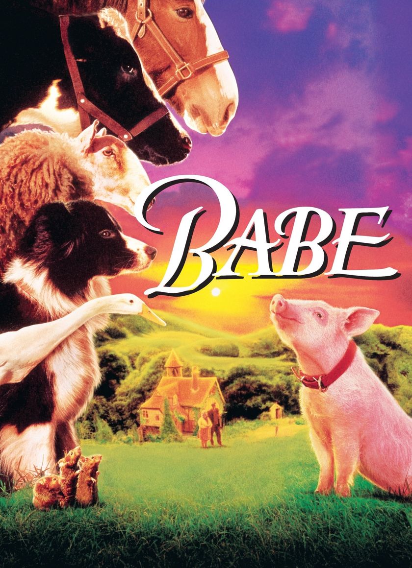 Babe: Chú Heo Chăn Cừu