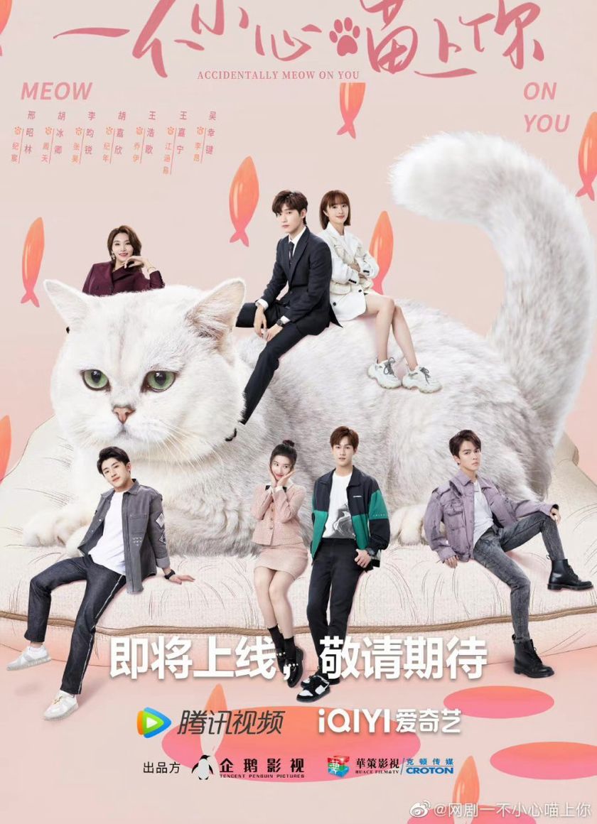 Bất Cẩn Meow Phải Anh