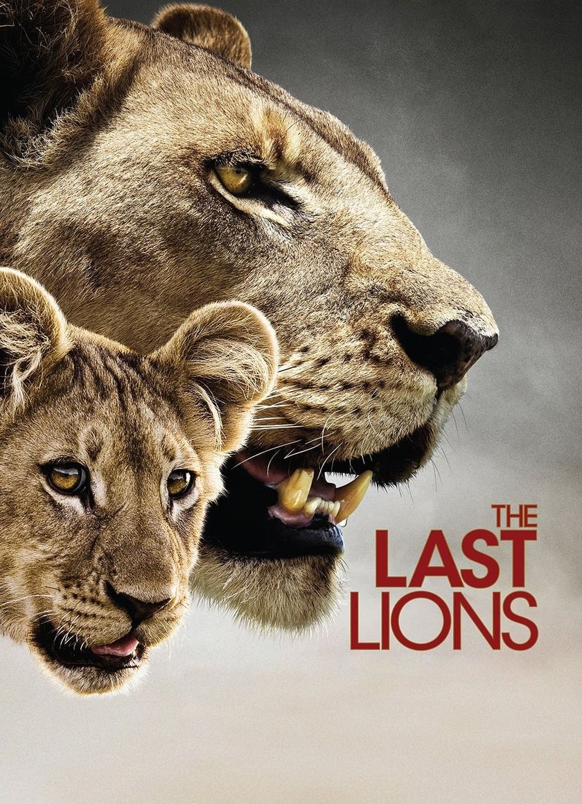 Bầy Sư Tử Cuối Cùng