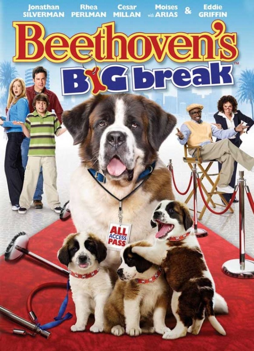 Chú chó Beethoven 6: Ngôi sao mới