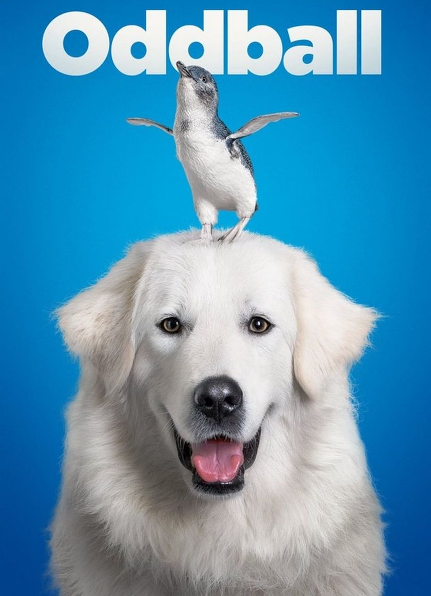 Chú Chó OddBall