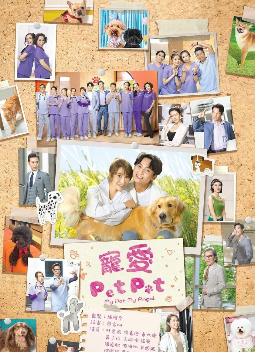 Chó Cưng Của Tôi