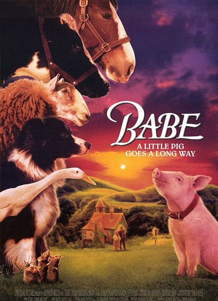 Chú Heo Chăn Cừu