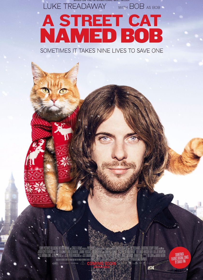 Chú Mèo Đường Phố