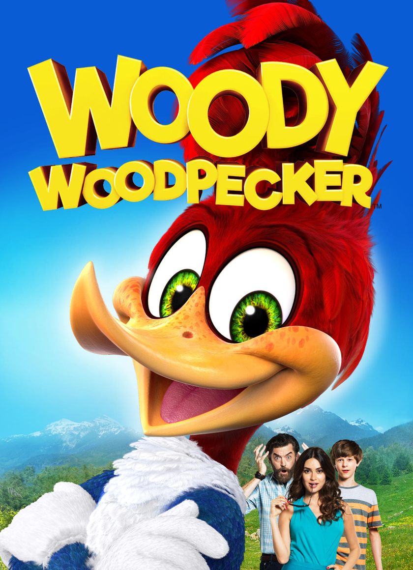 Chim Gõ Kiến Woody