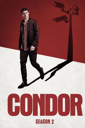 Chim Ưng (Phần 2)