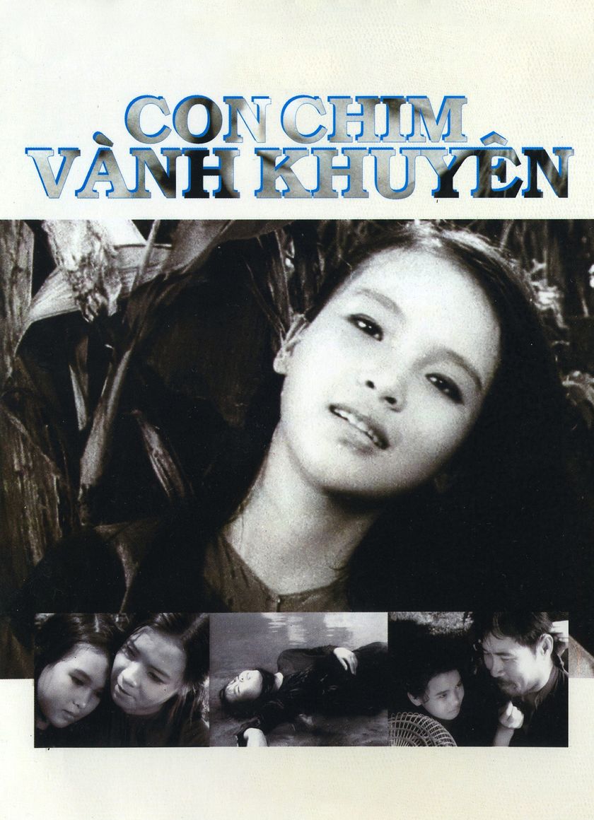 Con Chim Vành Khuyên