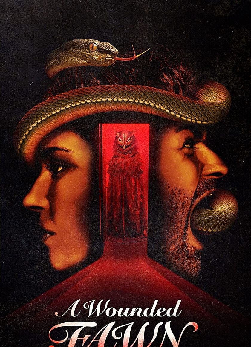 Con Nai Bị Thương