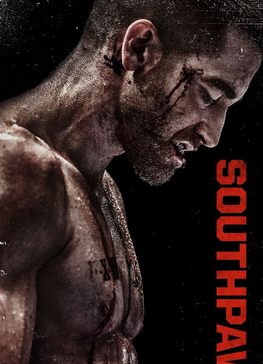 Con Đường Võ Sĩ