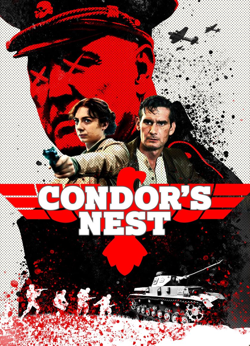 Condor's Nest