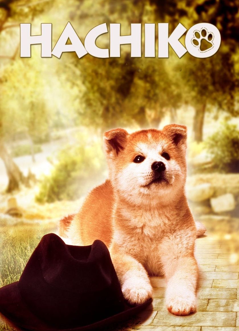 Câu Chuyện Về Chú Chó Hachiko