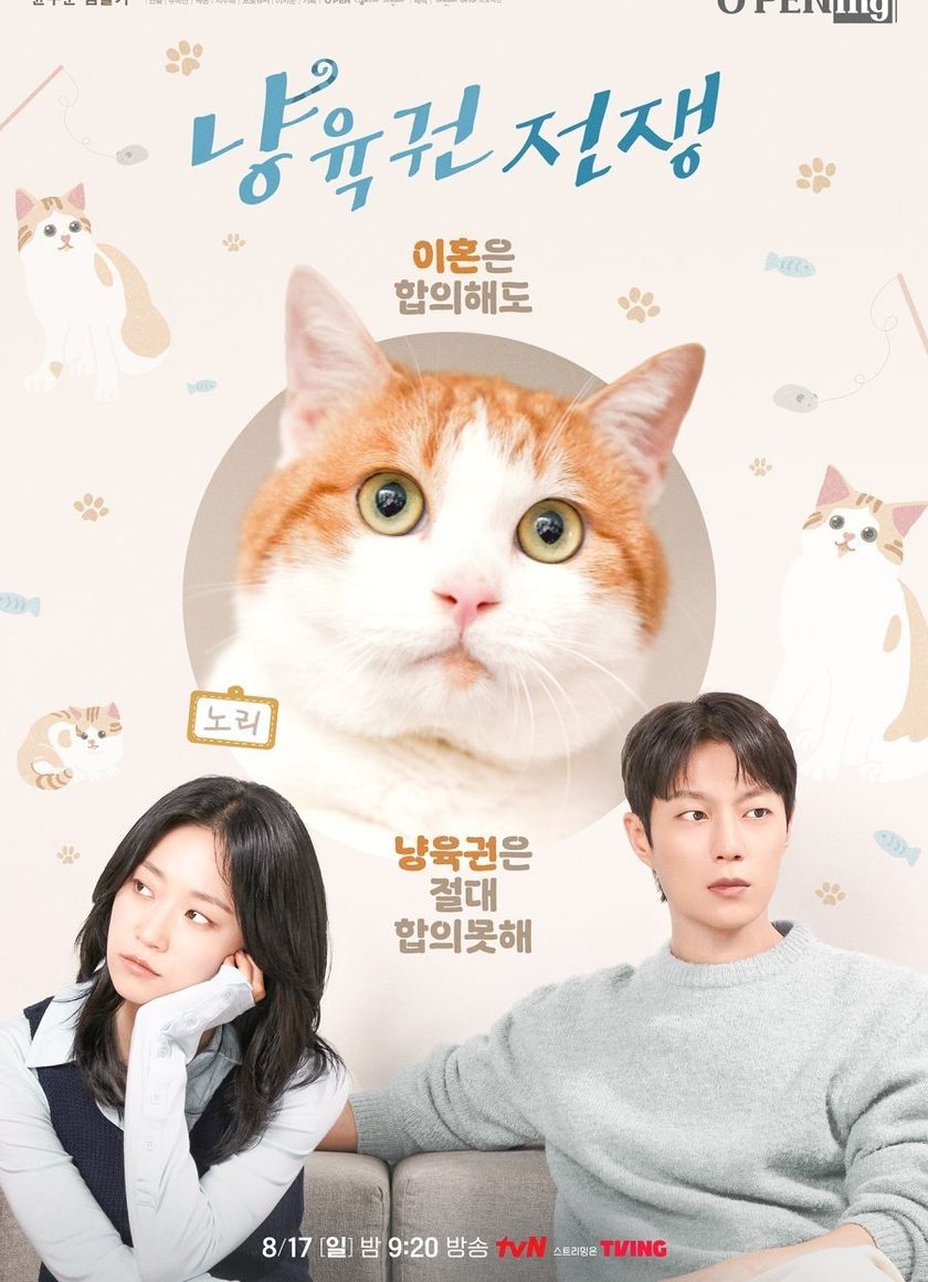 Cuộc Chiến Giành Quyền Nuôi Mèo