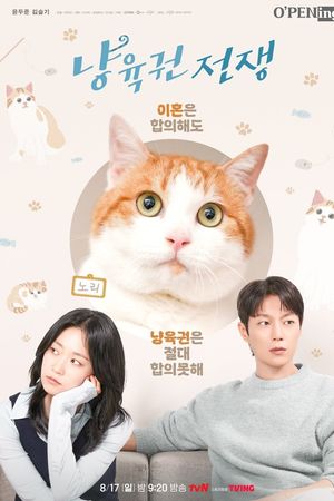 Cuộc Chiến Giành Quyền Nuôi Mèo