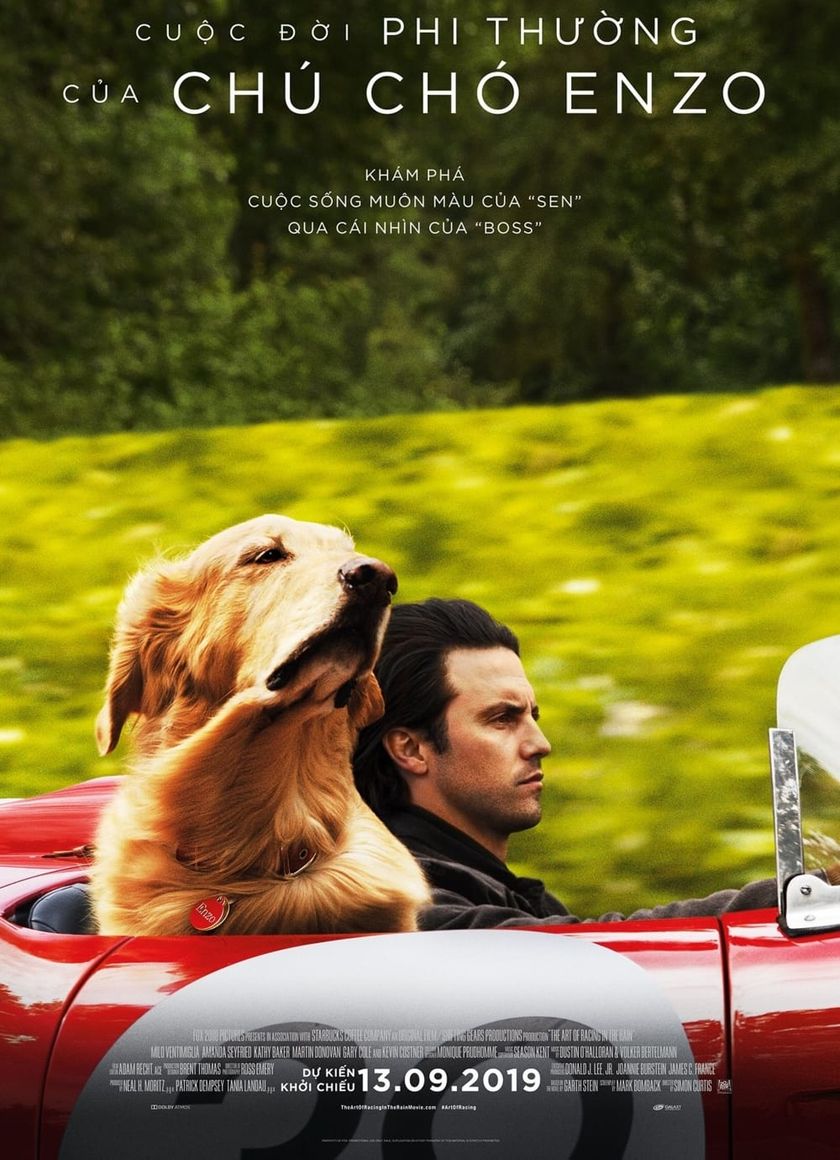 Cuộc Đời Phi Thường Của Chú Chó Enzo