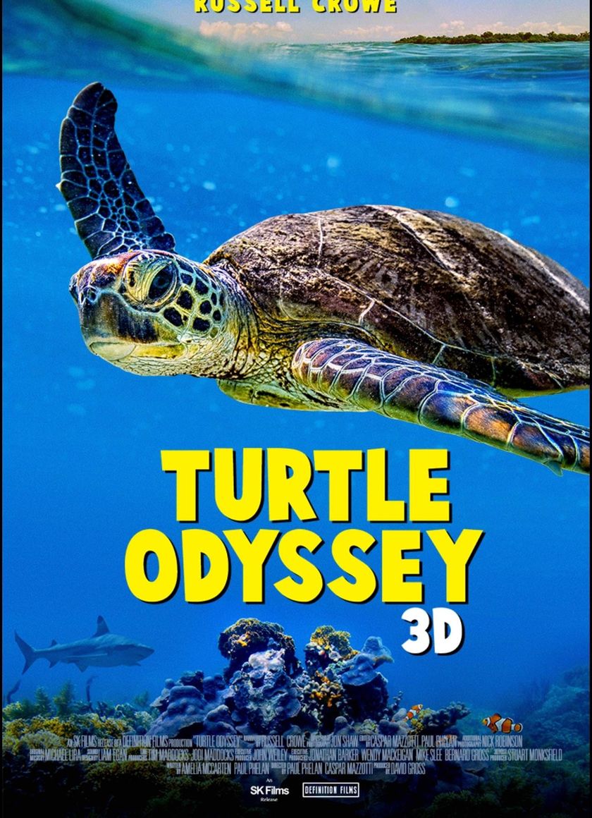 Cuộc Phiêu Lưu Của Rùa