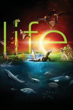 Cuộc Sống Hoang Dã