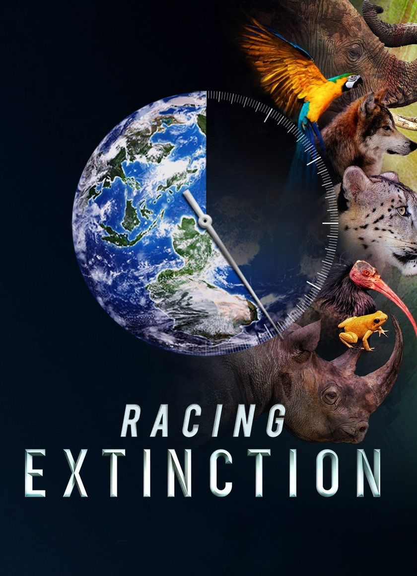 Cuộc Đua Tuyệt Chủng