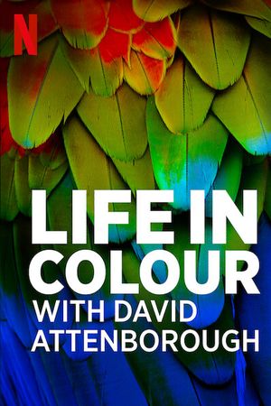 David Attenborough: Sự Sống Đầy Màu Sắc