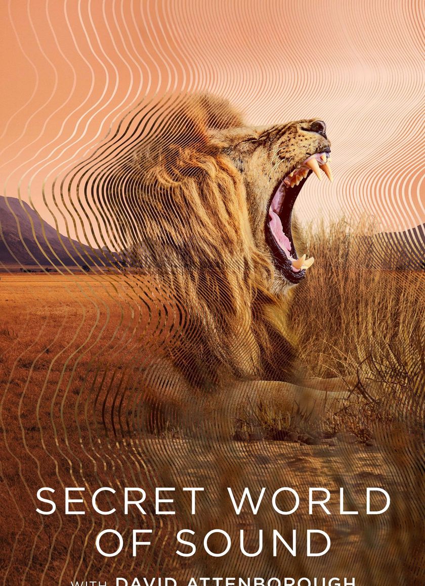 David Attenborough: Thế giới bí mật của âm thanh