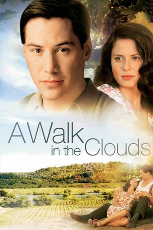 Dạo Bước Trên Mây