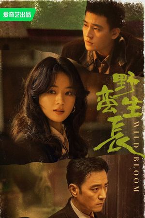 Gió Thổi Bán Hạ (Dã Man Sinh Trưởng)