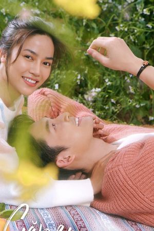 Gặp Em Ngày Nắng