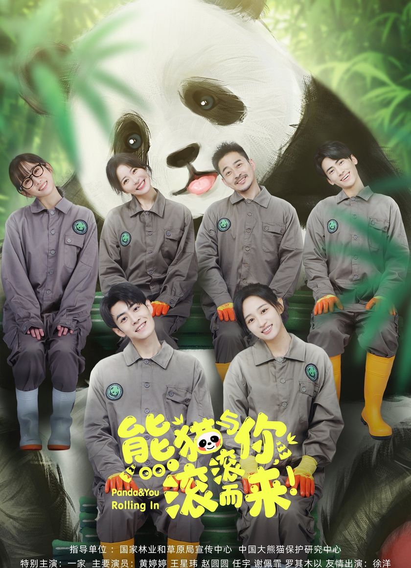 Gấu Trúc Và Bạn, Lăn Đến Đây!