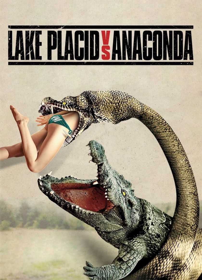 Hồ Cá Sấu Đối Đầu Trăn Khổng Lồ