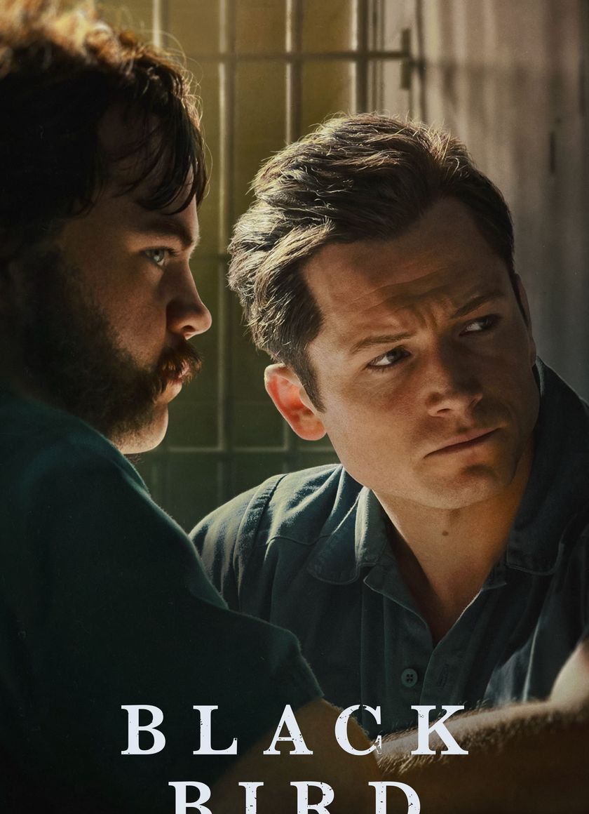 Hắc Điểu (Phần 1)