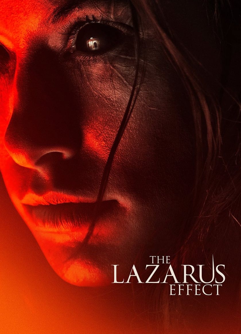 Hiệu Ứng Hồi Sinh