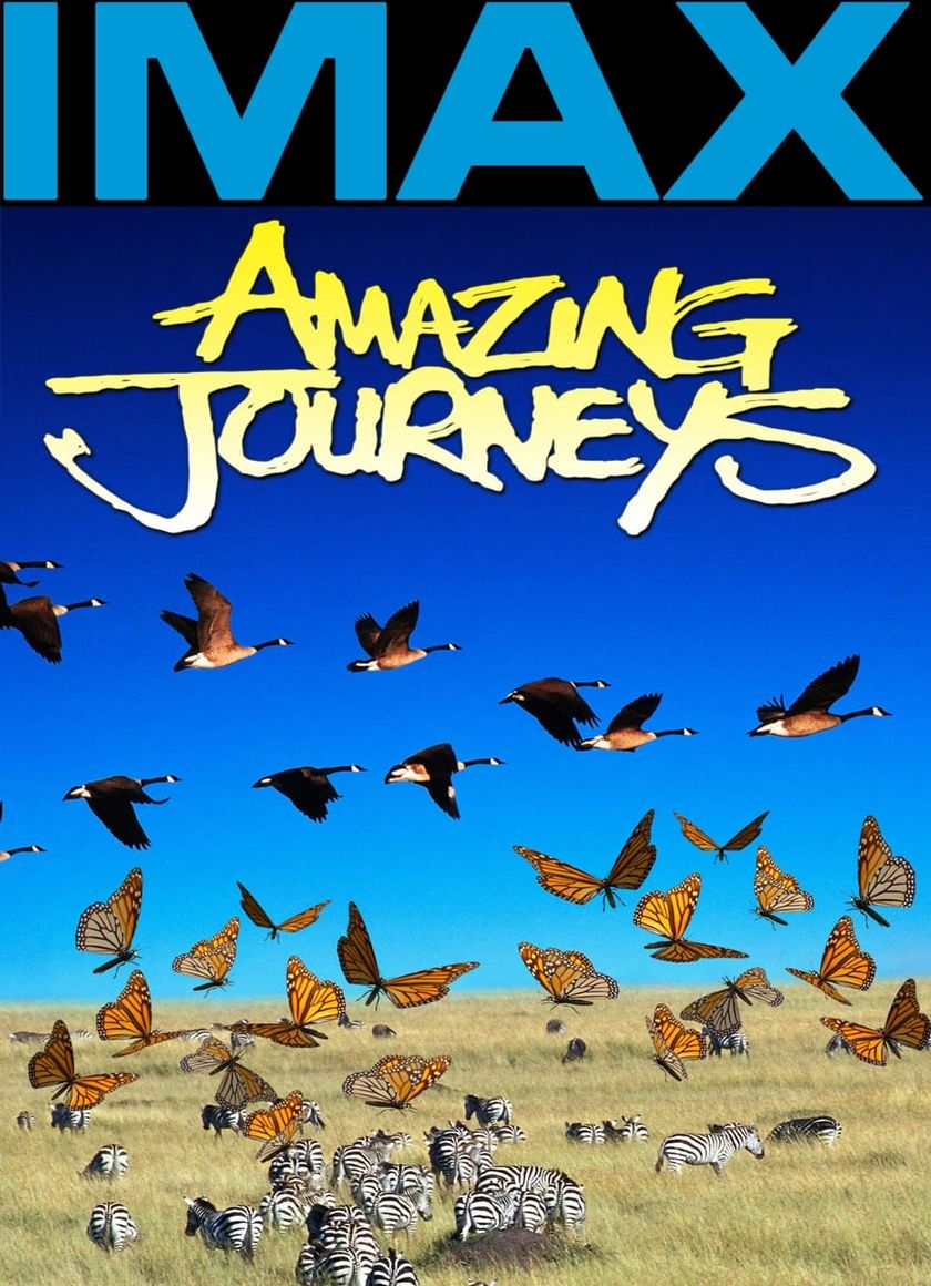 Hành Trình Kinh Ngạc