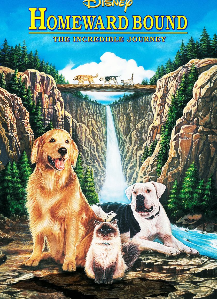 Homeward Bound: The Incredible Journey