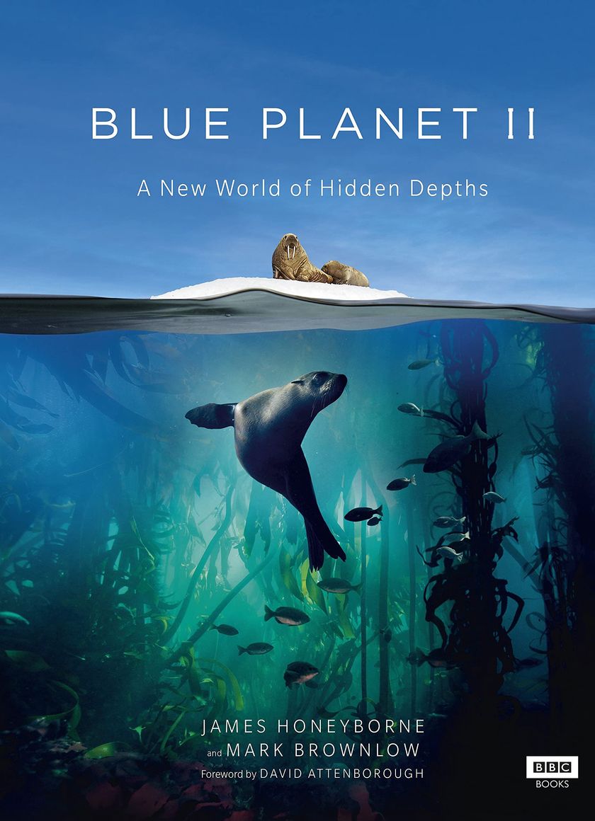 Đại Dương Sâu Thẳm 2