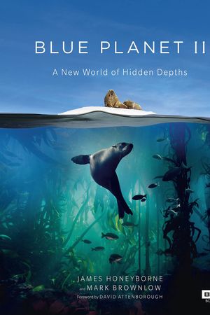 Đại Dương Sâu Thẳm 2