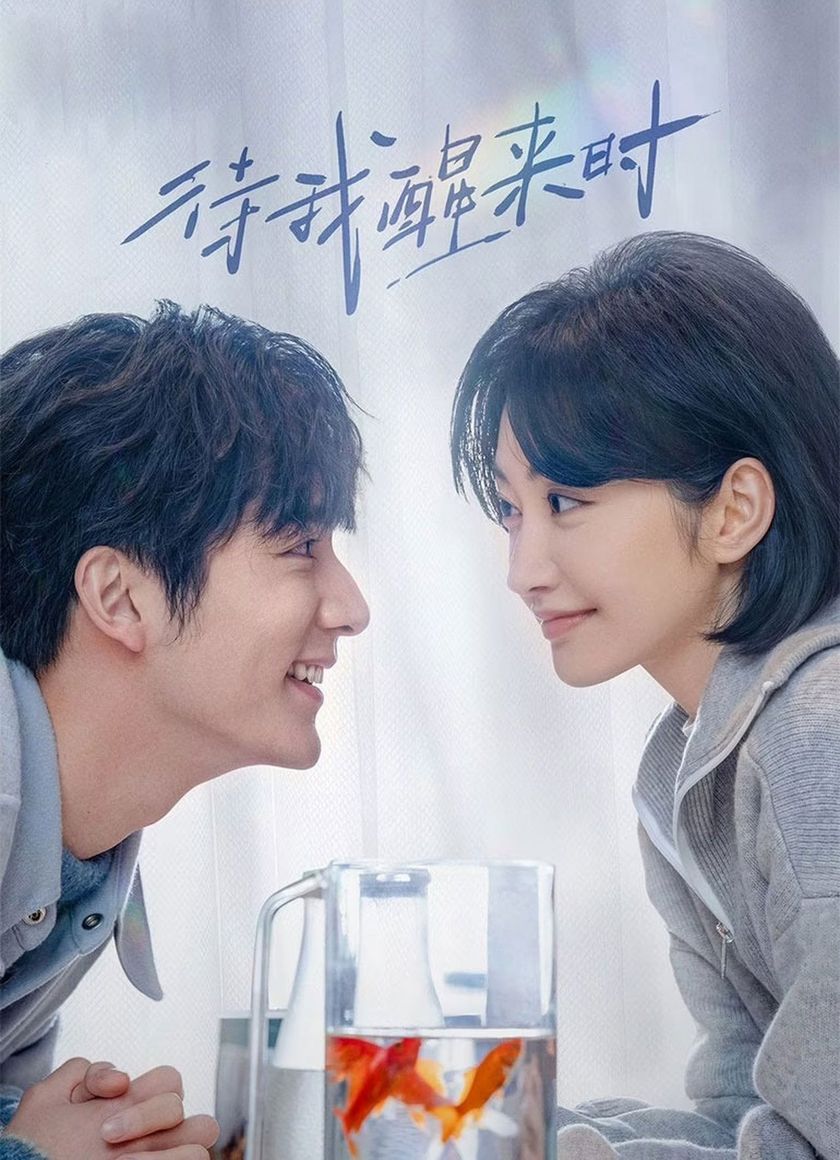 Đợi Khi Tôi Tỉnh Lại