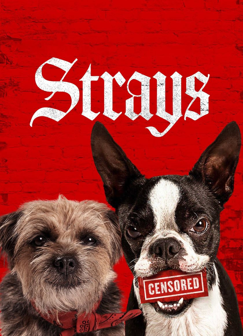 Đời Quá Chó (Những Chú Chó Bụi Đời)