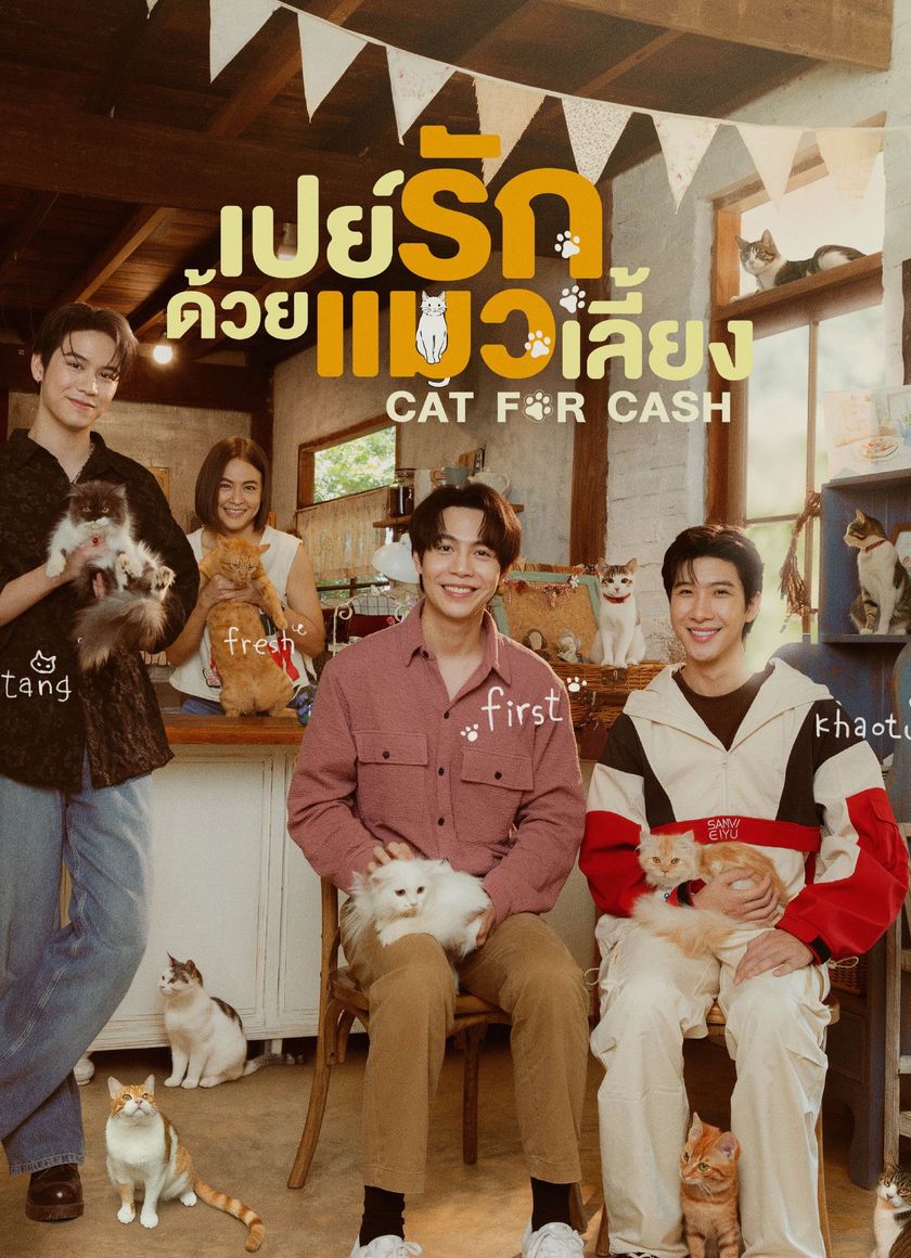 Đổi Tình Lấy Mèo