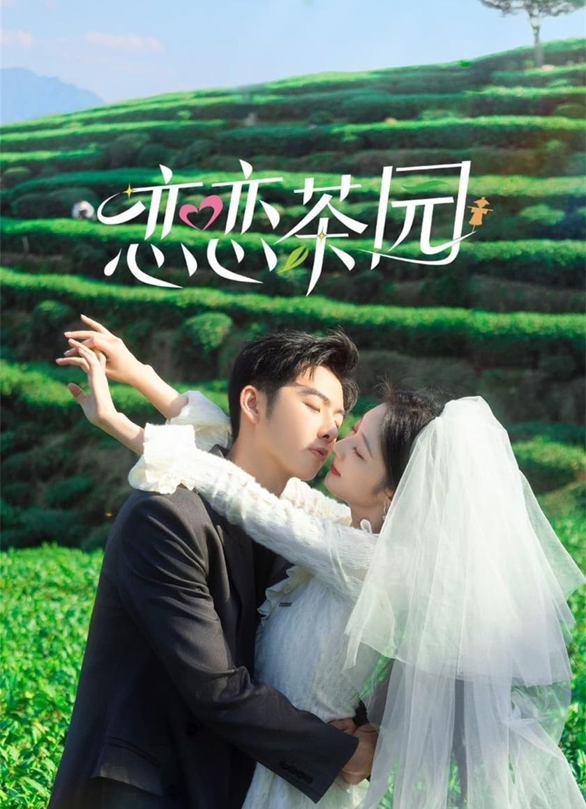 Đồi Trà Tình Yêu