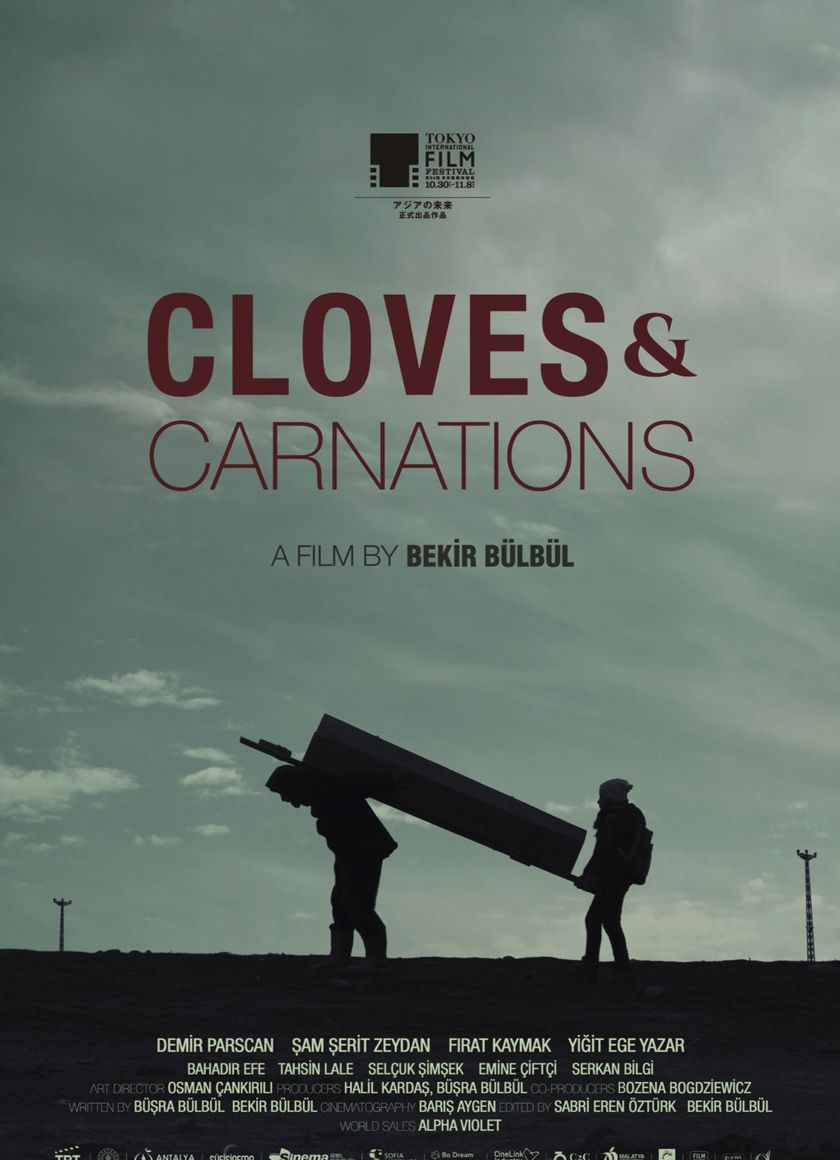 Đinh Hương và Cẩm Chướng