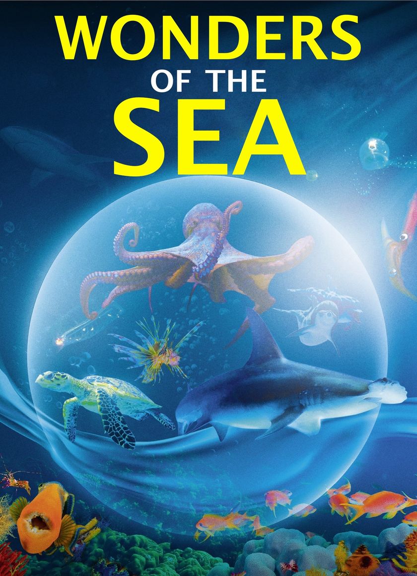 Kỳ Quan Của Đại Dương