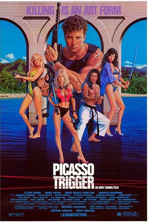 Kích hoạt Picasso