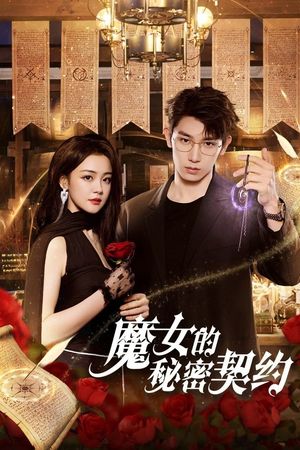 Khế Ước Bí Mật Của Phù Thủy