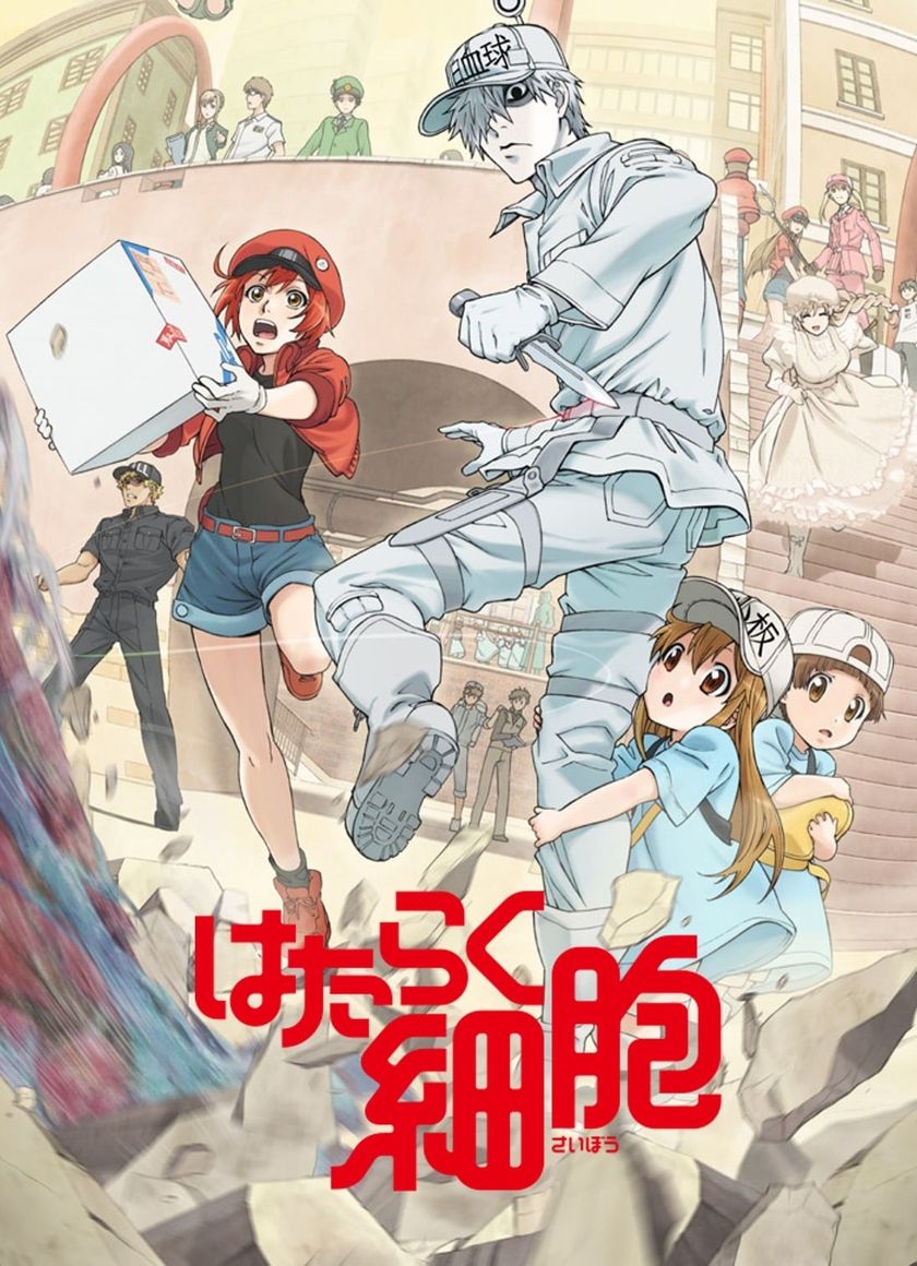 Khi Các Tế Bào Làm Việc (Phần 2)