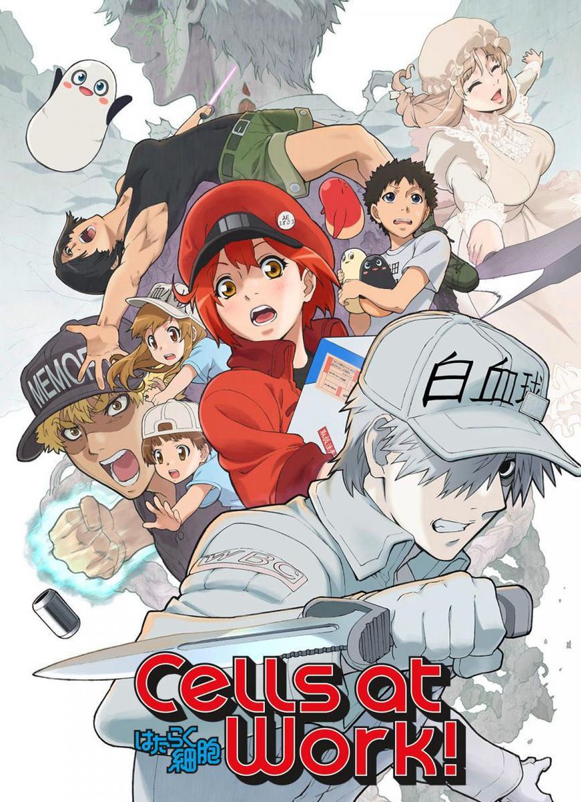 Khi các tế bào làm việc