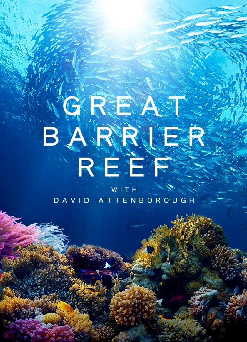 Khám Phá Rạn San Hô Great Barrier cùng David Attenborough