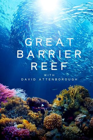 Khám Phá Rạn San Hô Great Barrier cùng David Attenborough