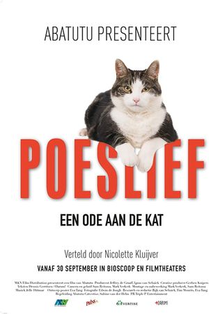 Kitty Love: Mèo cưng nhà mình