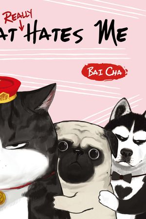 Liên Quan Gì Đến Mèo Tôi?